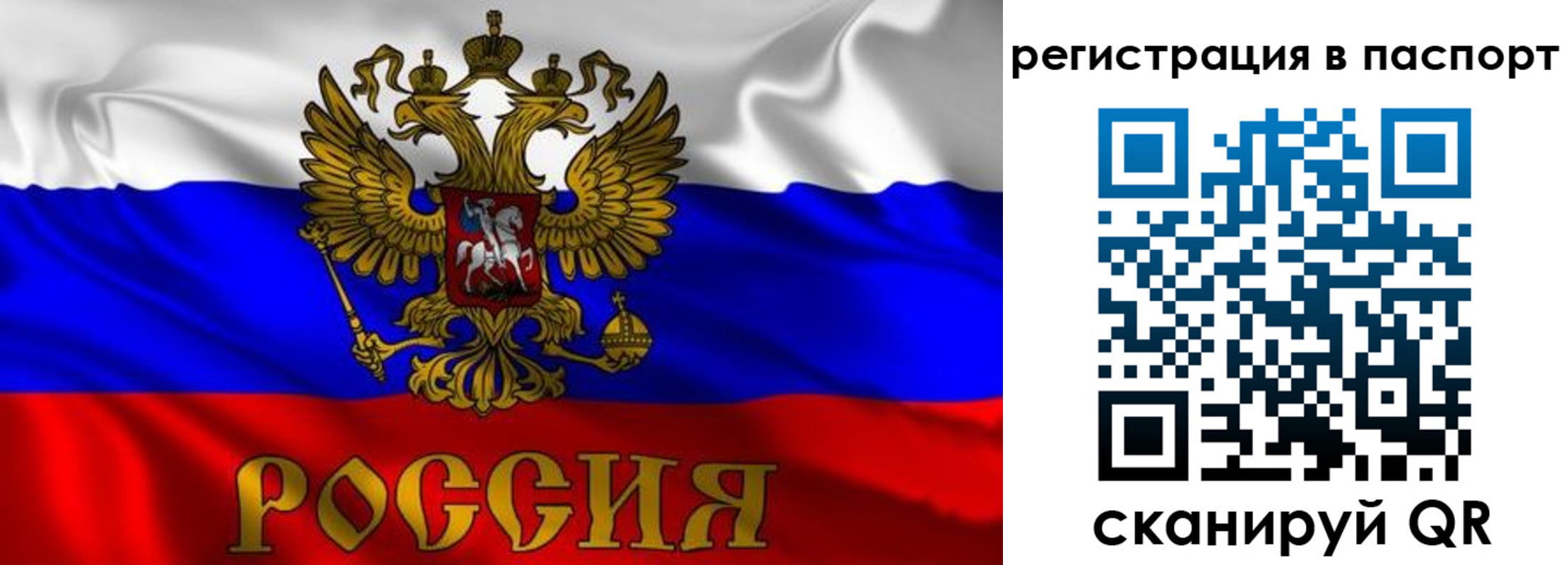 найти адрес прописки в Жигулёвске